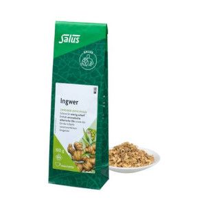 INGWER GEWÜRZTEE Zingiber officinale Bio Salus